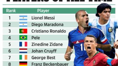 What are the best wellness and spa retreat hotels to book